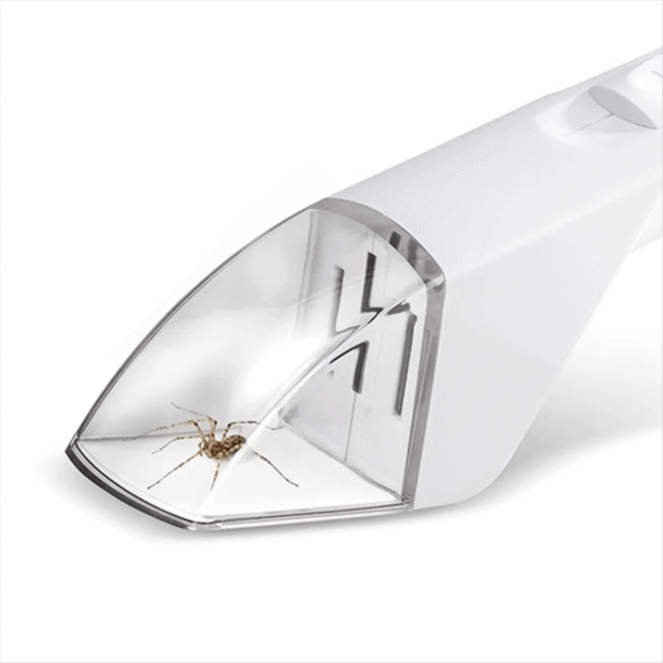 Catch & Release™ Insektenretter (3) Catch & Release™ Insektenretter - Detailed with catched Spider