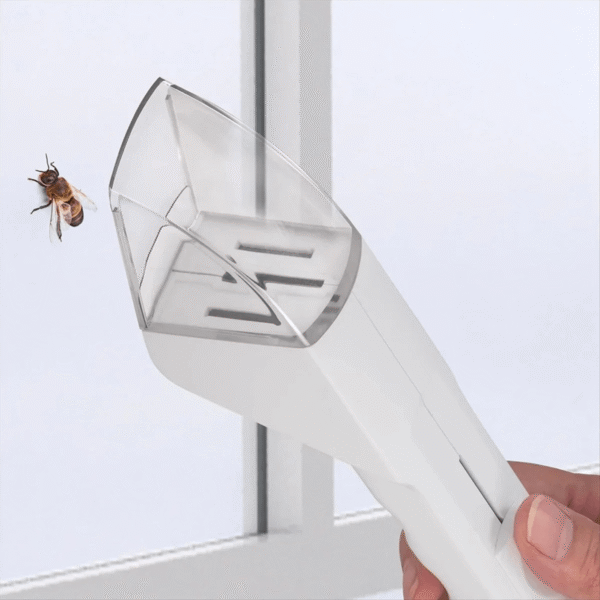 Catch & Release™ Insektenretter (5) Catch & Release™ Insektenretter - Catching bee at window