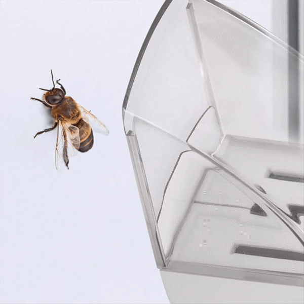 Catch & Release™ Insektenretter (6) Catch & Release™ Insektenretter - Catching bee on vertical surface, at window